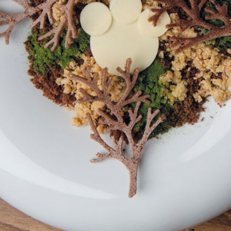 �ѥܡ��� ����ޥ�� ���å� 10���� GG031 | PAVONI WOOD