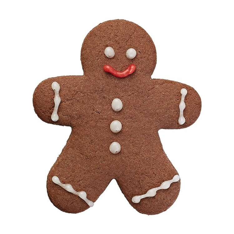 Сޥ å 󥸥㡼ޥ * 667 | BIRKMANN ꥹޥ