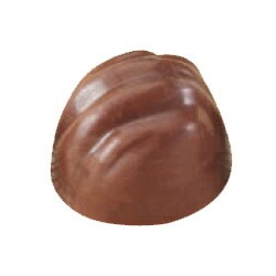 �ޥ�ƥ顼�� ���祳�� 40���� ���饷�å� [MA1091] | Martellato ���ٻ����ˤ�������ۤʤ�ޤ� �ץ饹���å� ���顼 �� �ޤ��� Ʃ�� ���Ϥ�����ĺ���ޤ���