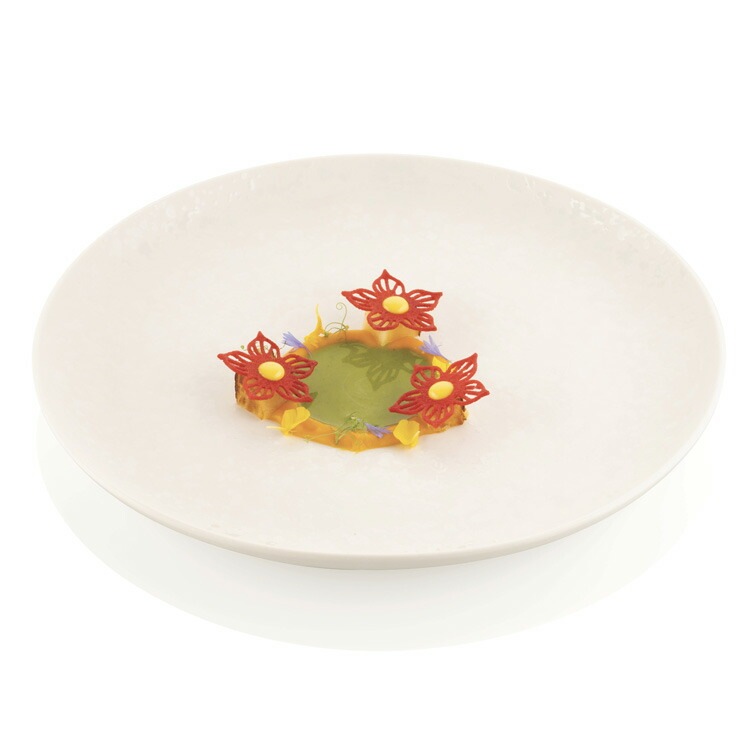 ���ꥳ�ޡ��� �ͥ����㡼 �ܥ��˥� 34���� ���ꥳ�� | Silikomart �� ���ꥳ�󥴥෿ ���ꥳ��⡼���