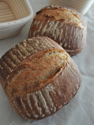 �����ץʥ��� �ؿϼ�