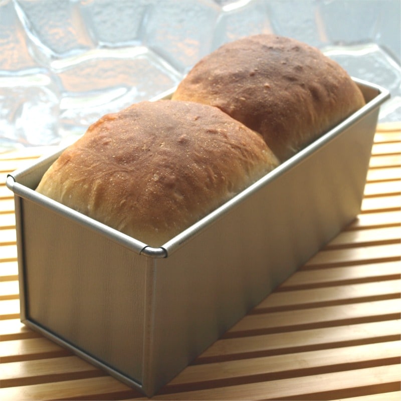 ����� ���ѥ� �ƥե��� �ù� 20cm �ե� �դ� | ���Ƥ� ����