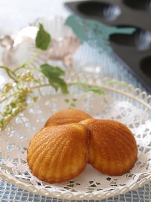 �����������饦�� ���ꥳ�� �ù� �֥�å� �ۥ��� �ޥɥ졼�� �� ŷ�� 9���� [5046] | TIGERCROWN ���������� CAKELAND