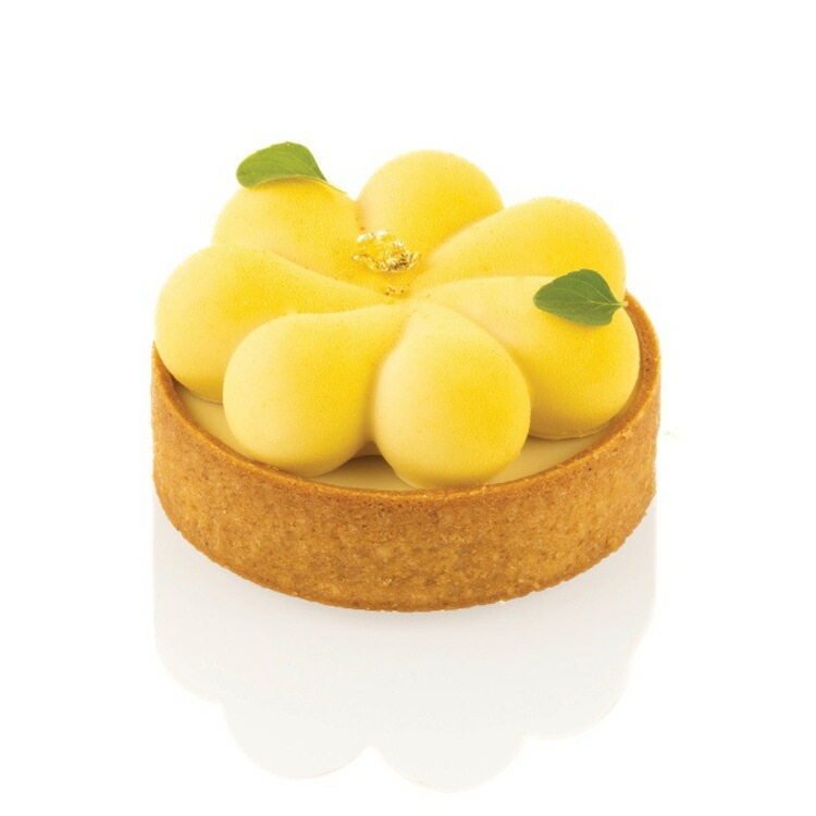 ���ꥳ�ޡ��� ���åȥ���ȥ�� �֥��å��� 70 ���ꥳ�󥴥෿ ������ �ץ饹���å� ��� 8�� ���å� | Silikomart ����ȷ�