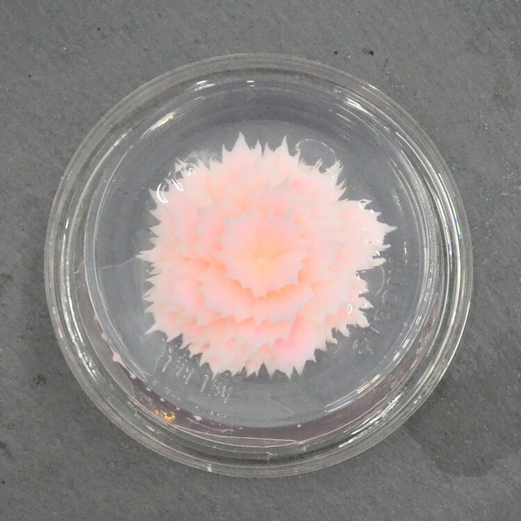 ���ꥸ�ʥ� �ե� ���꡼ �ġ��� ñ�� �����͡������ A-4 ���ʹ� �����