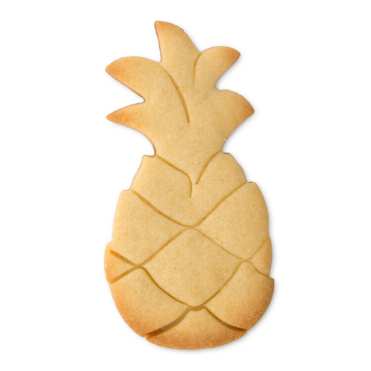 å å ѥʥåץ 9.5cm | STADTER