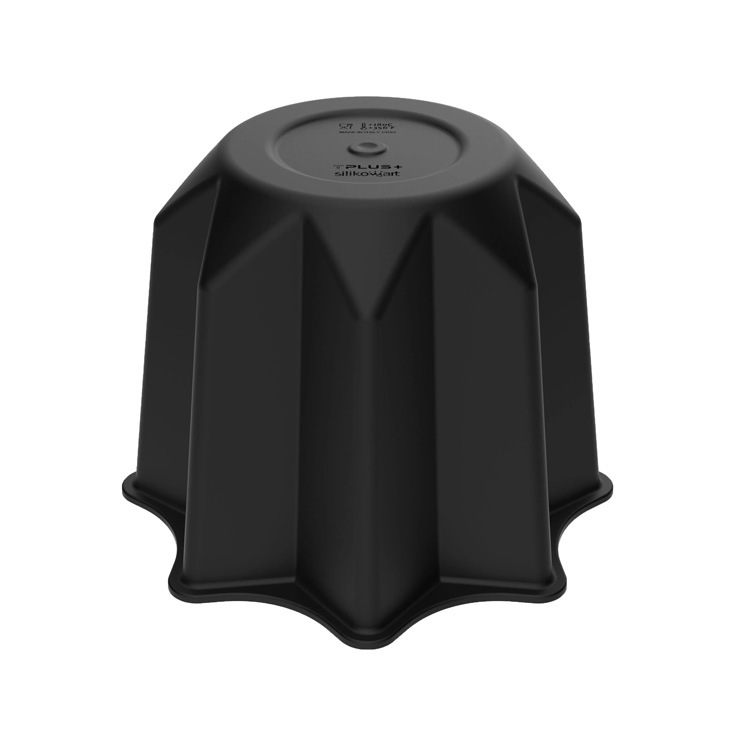 ���ꥳ�ޡ��� TPLUS ���������� 1900 | Silikomart �ѥ�ɡ���