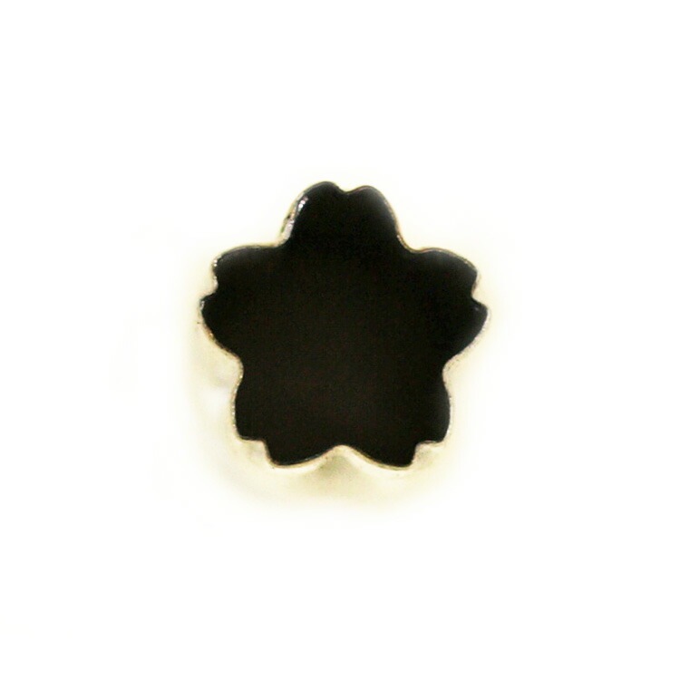 ²ۻ ȴ ˾  | ȴ ȴ ߥ   ʪ