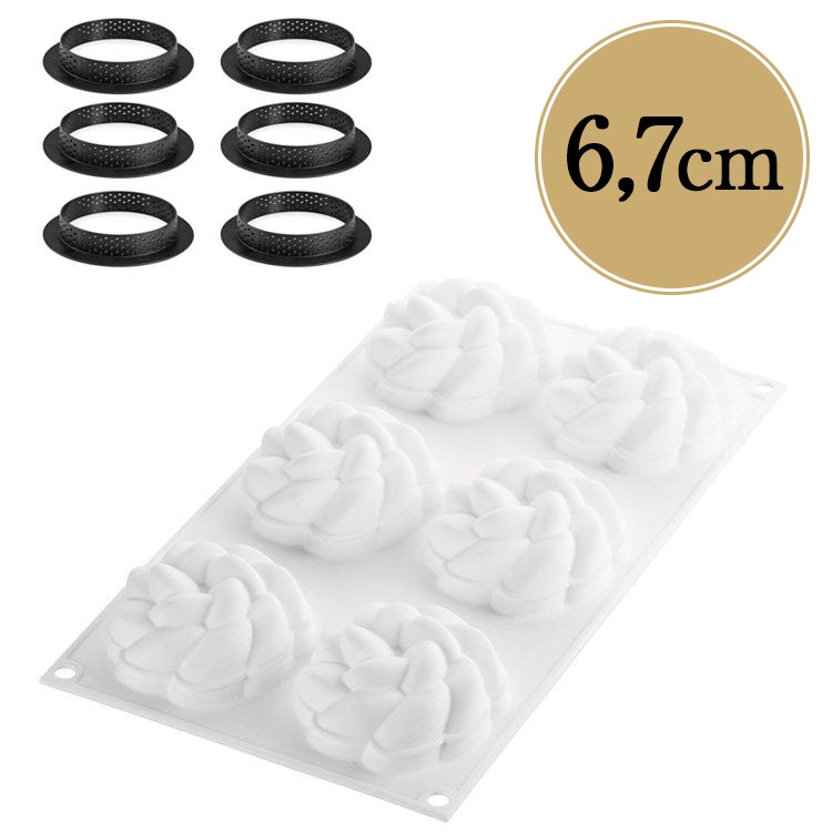 ���ꥳ�ޡ��� ���å� ����� �ե롼��80 ���ꥳ�󥴥෿ ������ �ץ饹���å� ��� 6�� ���å� | ����ȷ�