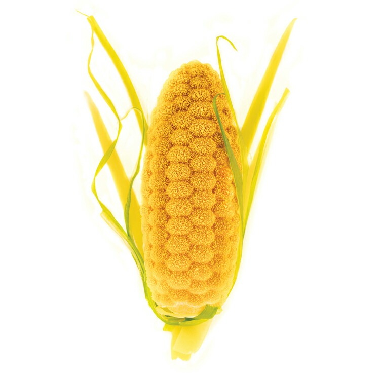 ꥳޡ ͥ㡼 ѥΥå 20 | Ƥ  SILIKOMART ꥳ ꥳ󥴥 Ȥ