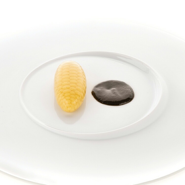 ꥳޡ ͥ㡼 ѥΥå 20 | Ƥ  SILIKOMART ꥳ ꥳ󥴥 Ȥ