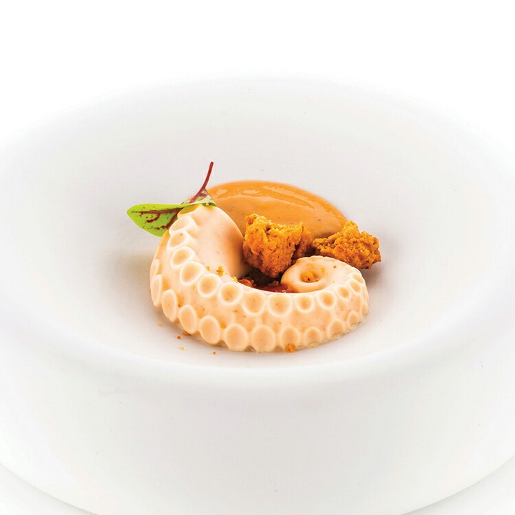 ꥳޡ ͥ㡼 ݥ 20 | Ƥ  SILIKOMART ꥳ ꥳ󥴥 