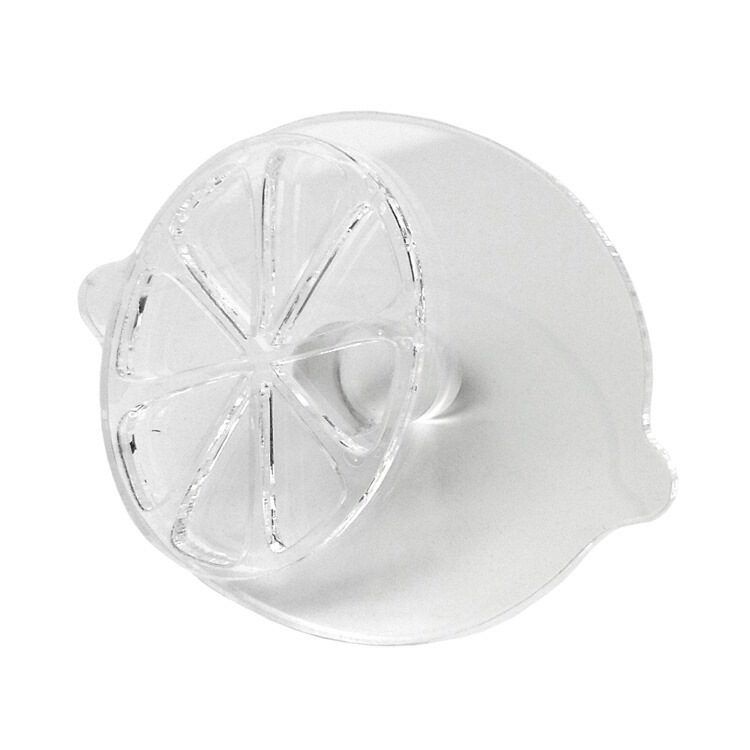 ���å���������� ���� 6cm�� ���ꥸ�ʥ� | ���� ��ʪ �ե롼�� ���貰�ۻ�ƻ��Ź ���ۻҺ�� �ۻ�ƻ�� ������� ���襤�� �İ���