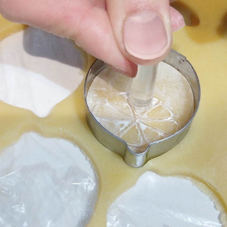 ���å���������� ���� 6cm�� ���ꥸ�ʥ� | ���� ��ʪ �ե롼�� ���貰�ۻ�ƻ��Ź ���ۻҺ�� �ۻ�ƻ�� ������� ���襤�� �İ���