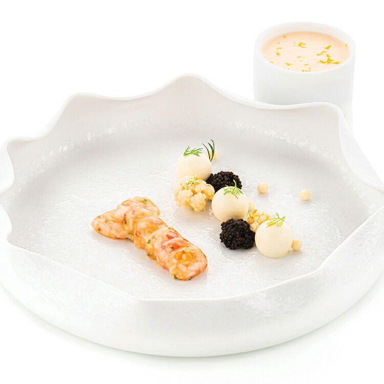 ꥳޡ ͥ㡼  20 | Ƥ  SILIKOMART ꥳ ꥳ󥴥 