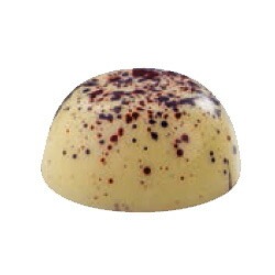 �ޥ�ƥ顼�� ���祳�� 24���� �� ����� [MA1981] | Martellato ���ٻ����ˤ�������ۤʤ�ޤ� �ץ饹���å� ���顼 �� �ޤ��� Ʃ�� ���Ϥ�����ĺ���ޤ���