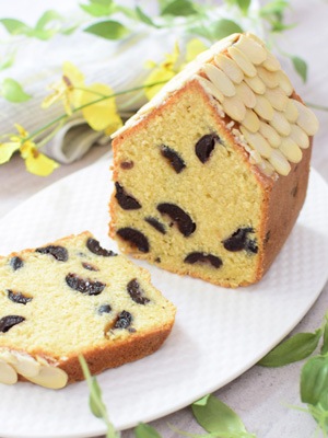 ѥ 8cm Ȥ ƤѤ 륿 ȿѥ  ⤵11x8x8cm | Ƥ  ѥ