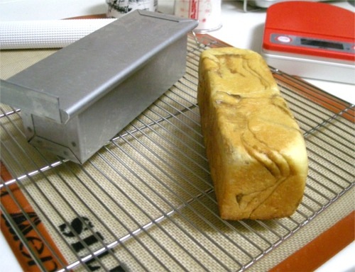 �����Ȥ��� ���Ƥ��Ѥ� ���륿���� ���硼�� ����� ���ѥ� 16cm �ե� �դ� | ���Ƥ� ����