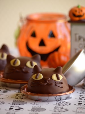 ������å��������ץ졼 600ml ���ۡ����ѥ���Υ���� ������ؤξ��ϲ�������������������ĺ�פ��ޤ���