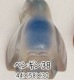 ߸̵ʤ꼡佪λ ߥåӶ̷ ڥ󥮥 38 ꥫå