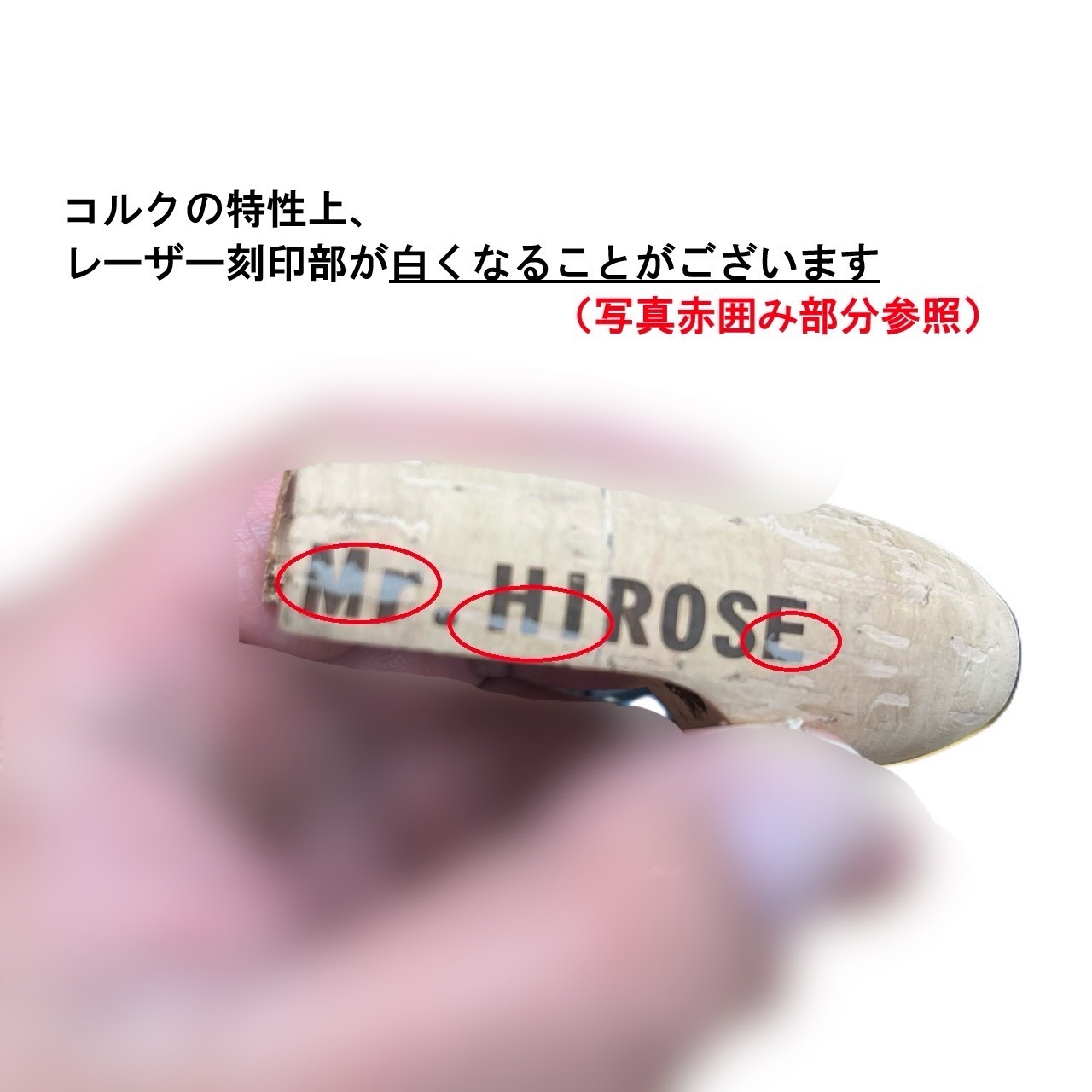公式ファンクラブ会員様限定モデル】AD5-S622L/AJI FACTORY EDITION 鯵
