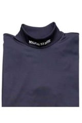 ġݲˡϥͥåĹµMSU-812