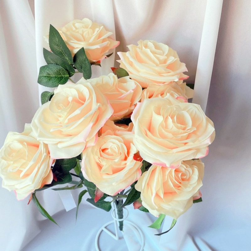 10����Х�ʥ���������