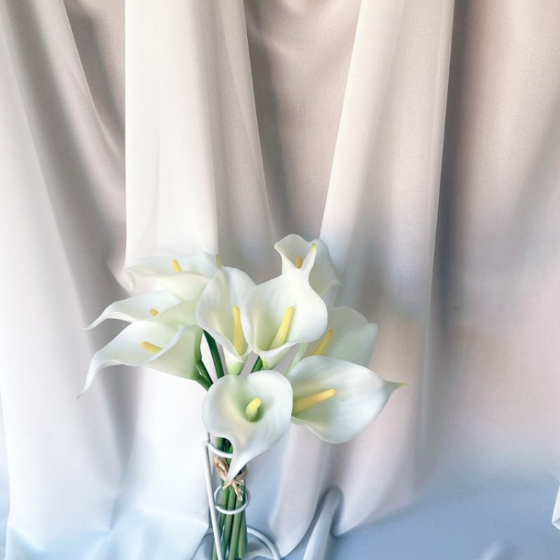 ���顼��WHITE��