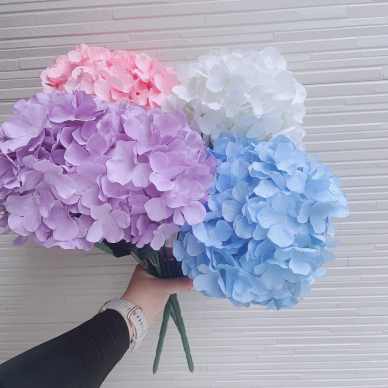 ���������֥å�������