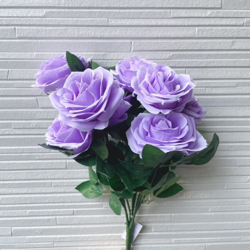 10����Х�ʿ��ѡ��ץ��