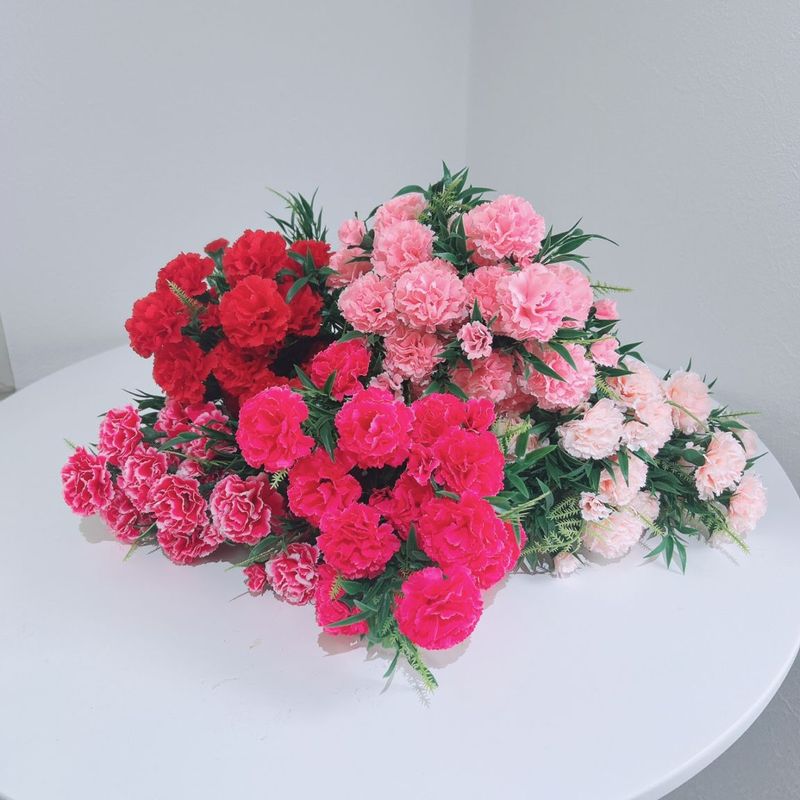 5«���åȥ��󥸥��륫���͡�����󥢡ʥ����ȡ�