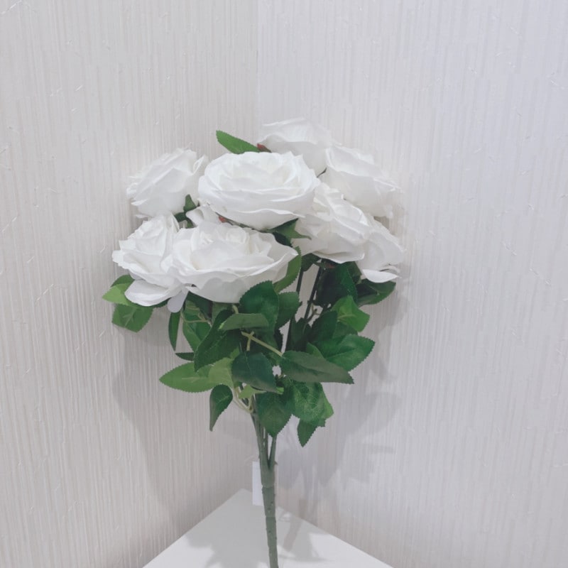 10����Х�ʥ��꡼���