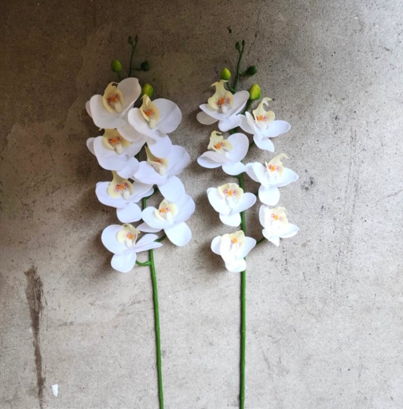 �ڹ񻺸�ĳ��