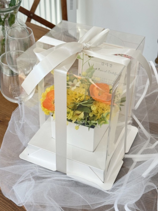 ���㥤�˥󥰥ܥå���