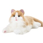 ʤΥѡȥʡ äݤդդ ޤܤͤ ߥå֥饦