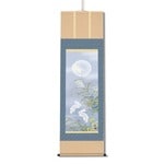  ȷγݤ  ﵯɤͳݼ ¼ ݼַơ ܻ