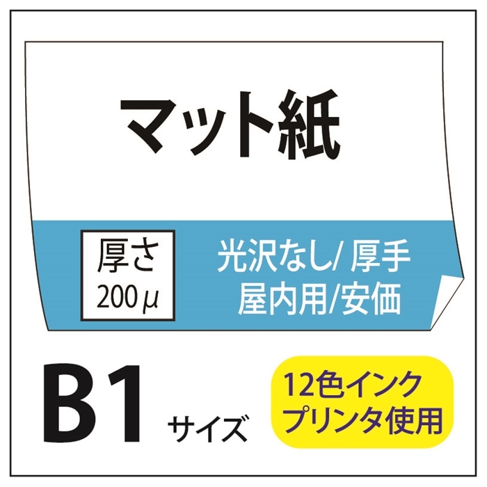 国宝 ポスター B1サイズ 特大 劇場両面印刷（裏反転印刷）728×1030mm