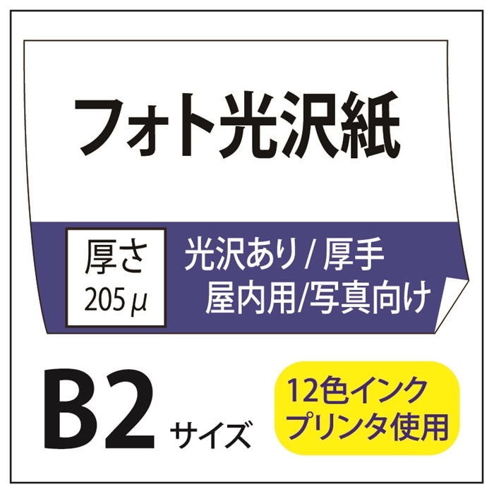 �ݥ��������� �ե��ȸ�����/���� B2(515��728)