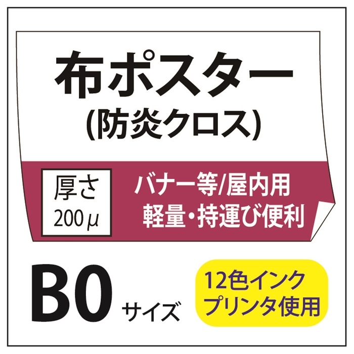 �ݥ��������� �ۥݥ�����/�ɱꥯ���� B0(1030��1456)