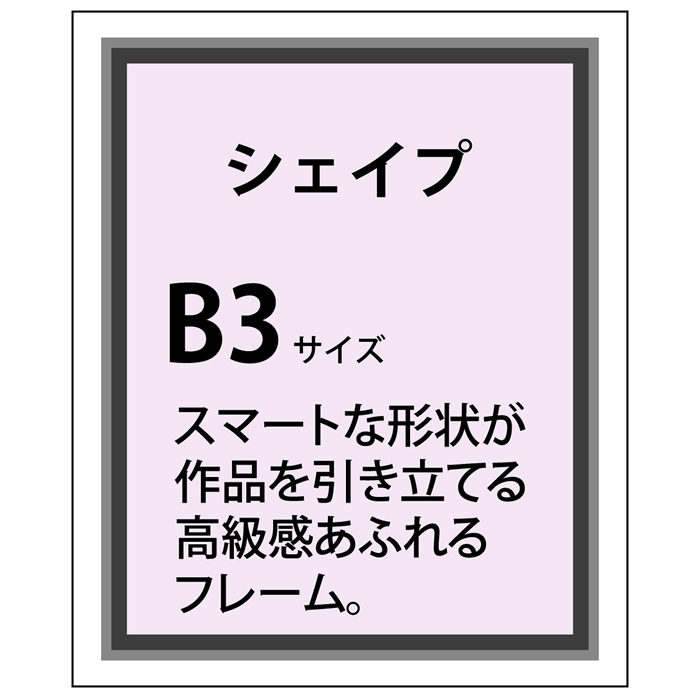 シェイプアルミ フレーム加工 B3(364×515)