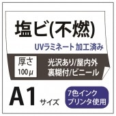 ���ӽ��� ��������/��Ǵ��(���졼����) A1(594��841)