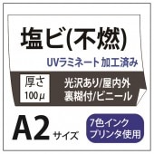 ���ӽ��� ��������/��Ǵ��(���졼����) A2(420��594)