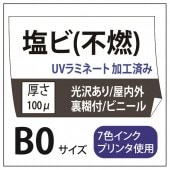 ���ӽ��� ��������/��Ǵ��(���졼����) B0(1030��1456)