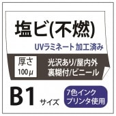 ���ӽ��� ��������/��Ǵ��(���졼����) B1(728��1030)