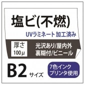 ���ӽ��� ��������/��Ǵ��(���졼����) B2(515��728)