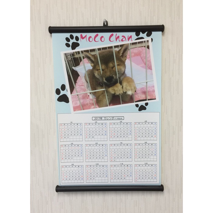 ������(�����)���ڥ��ȥ꡼