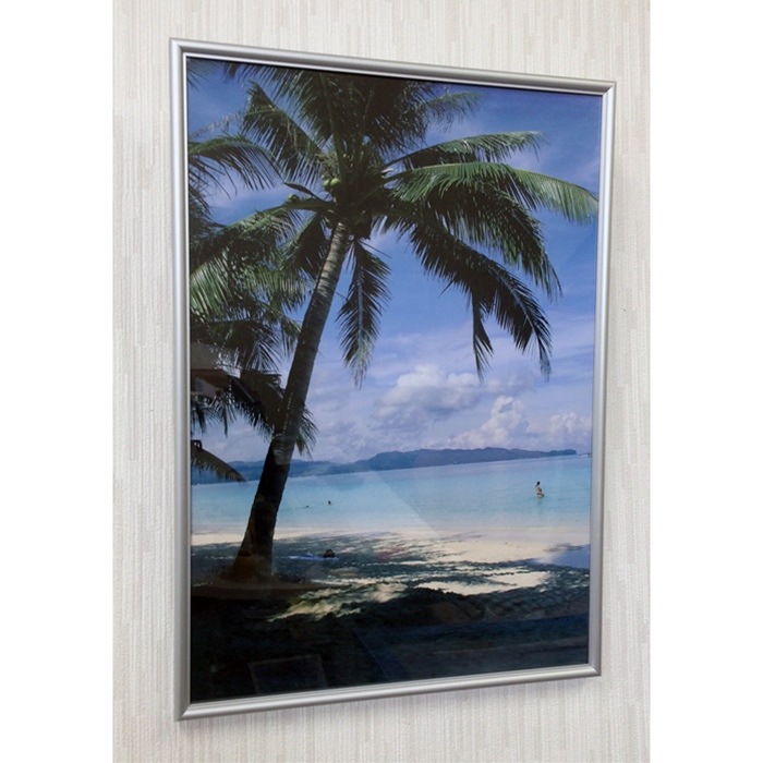 ץ ե졼ù A1(594841)