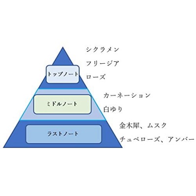 ���ƥ����ϥ󥿡� ��� �����ɥѥ�ե��� 50ml