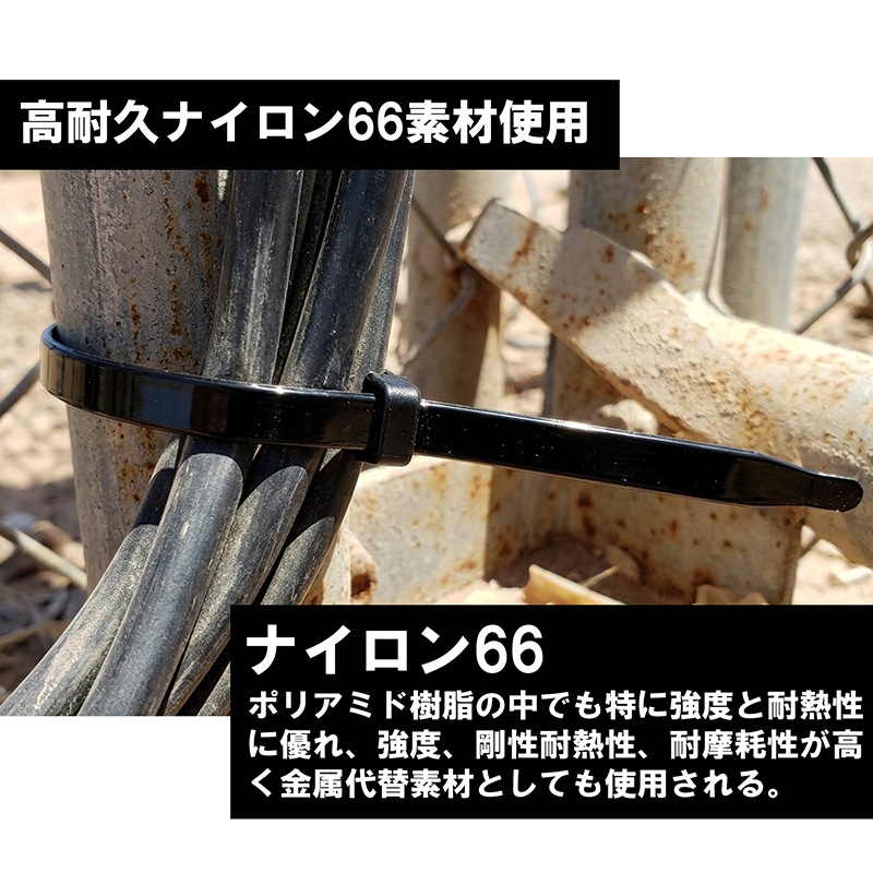 �ʥ�����66 ��«�Х�ɡڹ��ѵס�����Ǯ�۶��ϸ��� �����֥륿�� �Ѹ��� ���⡦�����б�