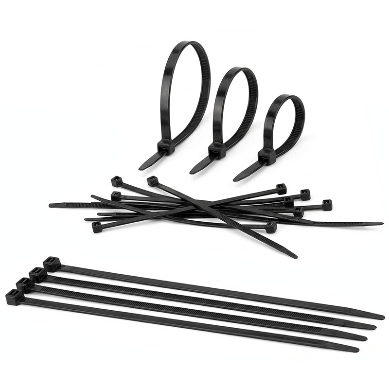 �ʥ�����66 ��«�Х�ɡڹ��ѵס�����Ǯ�۶��ϸ��� �����֥륿�� �Ѹ��� ���⡦�����б�